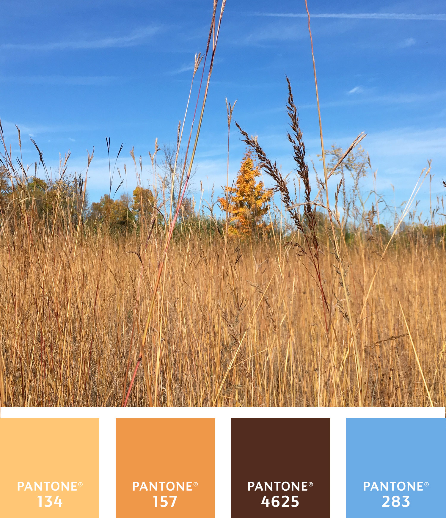 autumn-palette-3-750w